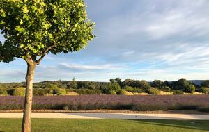 Luxury Villa In the Heart of The Luberon 'Golden Triangle' - Roussillon, Vaucluse, France