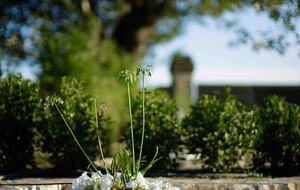 Luxury Villa In the Heart of The Luberon 'Golden Triangle' - Roussillon, Vaucluse, France