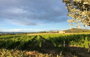 Luxury Villa In the Heart of The Luberon 'Golden Triangle' - Roussillon, Vaucluse, France