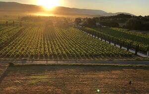 Luxury Villa In the Heart of The Luberon 'Golden Triangle' - Roussillon, Vaucluse, France