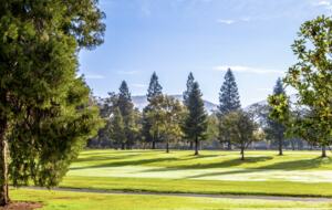 Oak Creek Two Bedroom Suite - Napa, California