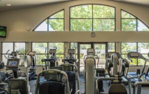 Oak Creek Two Bedroom Suite - Napa, California