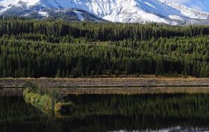 New Prairie Craftsman Charmer - Bozeman, Montana