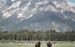 New Prairie Craftsman Charmer - Bozeman, Montana
