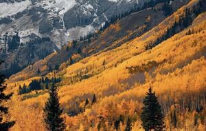 New Prairie Craftsman Charmer - Bozeman, Montana