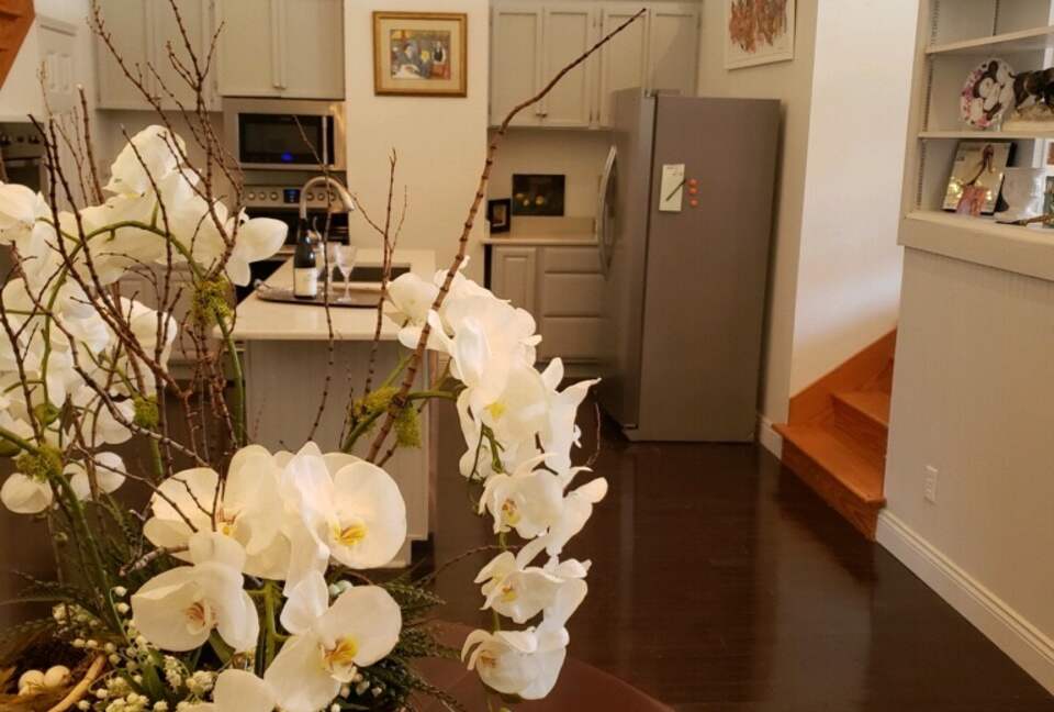 Natchez Gem | Charming Apartment near Historic Mansions, Casino, and more - Natchez, Mississippi