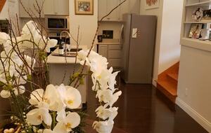 Natchez Gem | Charming Apartment near Historic Mansions, Casino, and more - Natchez, Mississippi