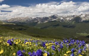 Kings Crown Charm | Steps To Snowflake Lift! - Breckenridge, Colorado
