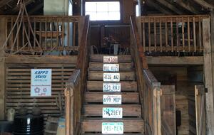 The Mitchell River Estate - 400+ Acres, Fly Fishing Paradise - Dobson, North Carolina