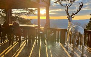 Mountain Mama Ski-In/Ski-Out Retreat - Snowshoe, West Virginia