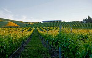 Tukituki River Valley Cottage - Havelock, New Zealand