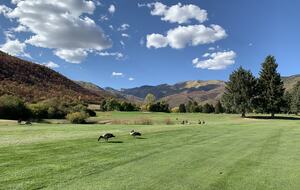 Wasatch Mountain Lake course