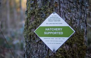 Beech Mountain Resort and Ski Village Getaway - Beech Mountain, North Carolina