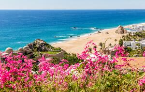 Paradise in Pedregal: Ocean Views & Infinity Pool - Cabo San Lucas, Mexico