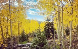 Black Diamond Ski-In/Ski-Out Family Retreat - Brian Head, Utah