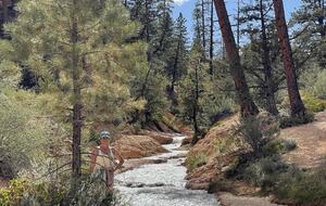 Black Diamond Ski-In/Ski-Out Family Retreat - Brian Head, Utah