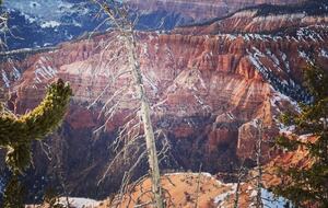Black Diamond Ski-In/Ski-Out Family Retreat - Brian Head, Utah