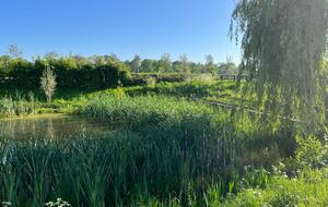 Stone Barns - Blaxhall, United Kingdom