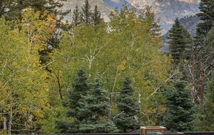 View from the dining deck.