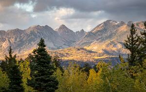 Views of trees and mountain ranges.