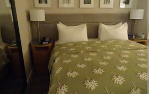 Calm Oasis in New York City - New York, New York