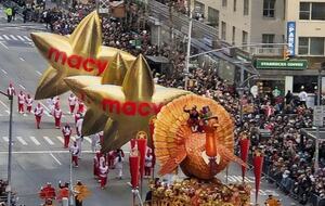 Calm Oasis in New York City - New York, New York