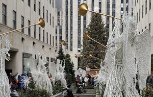 Calm Oasis in New York City - New York, New York