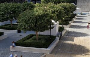 Calm Oasis in New York City - New York, New York