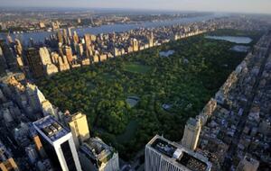 Calm Oasis in New York City - New York, New York