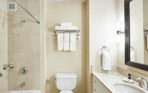 Calm Oasis in New York City - New York, New York