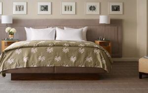 Calm Oasis in New York City - New York, New York