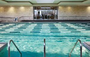 Calm Oasis in New York City - New York, New York