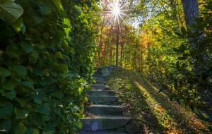 Bear Lake Reserve Mountain Estate - Tuckasegee, North Carolina