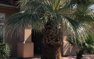 St. George GATEWAY TO ZION - Golf and Hiking Retreat - Saint George, Utah