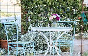 Stunning Sonoma Farmhouse with Pool and Vineyard Views - Petaluma, California