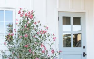 Stunning Sonoma Farmhouse with Pool and Vineyard Views - Petaluma, California