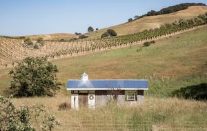 Guest House at the Stunning Sonoma Farmhouse With Vineyard Views - Petaluma, California
