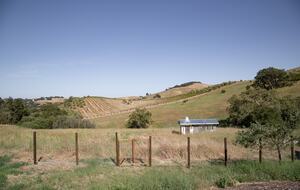 Stunning Sonoma Farmhouse with Pool and Vineyard Views - Petaluma, California