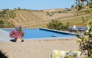 Stunning Sonoma Farmhouse with Pool and Vineyard Views - Petaluma, California