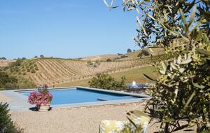 Stunning Sonoma Farmhouse with Pool and Vineyard Views - Petaluma, California