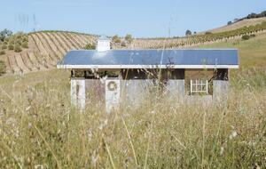 Stunning Sonoma Farmhouse with Pool and Vineyard Views - Petaluma, California