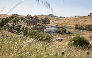 Stunning Sonoma Farmhouse with Pool and Vineyard Views - Petaluma, California