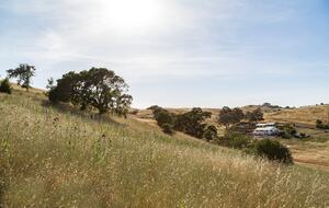 Guest House at the Stunning Sonoma Farmhouse With Vineyard Views - Petaluma, California