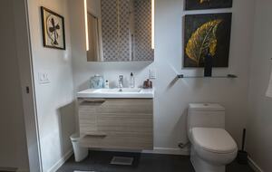 Ensuite bathroom of the master bedroom in the second house