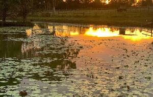Yaroomba Beach Pavilion - Yaroomba, Australia