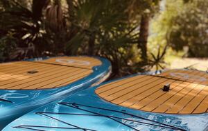 Entertainer's Dream House with a Resort Pool - Santa Rosa Beach, Florida