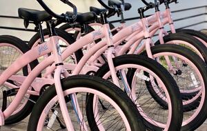 Entertainer's Dream House with a Resort Pool - Santa Rosa Beach, Florida