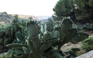 Views form the main terrace