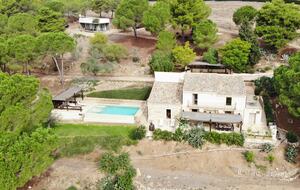 overhead view with dependence shown behind main house