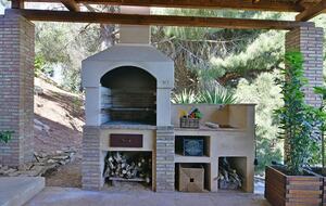 Wood burning BBQ grill